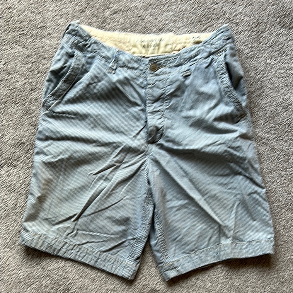 Abercrombie & Fitch Blue and White Striped Flat Front Shorts